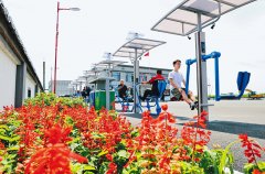 正在中国式现代化扶植中展示更大做为