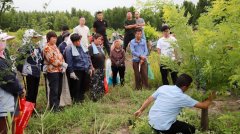 京博：科技立异驱动黄河道域农业现代化