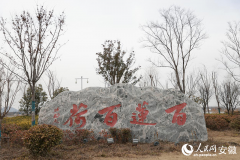 淮北杜集区:“国企联村”激活现代农业